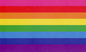 Gilbert Baker 最初設計的八色彩虹旗。